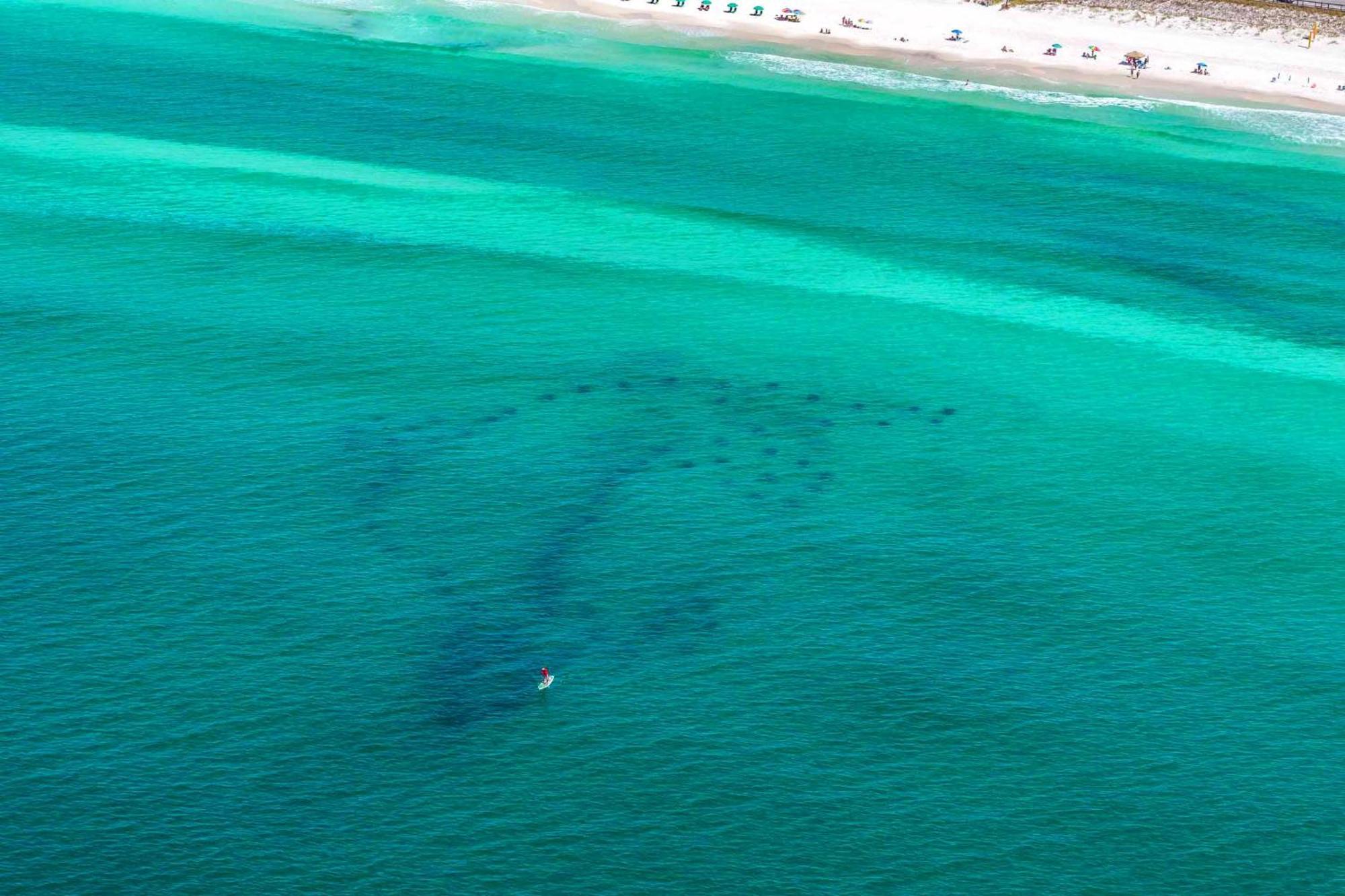 Beach Resort 316 Destin Kültér fotó